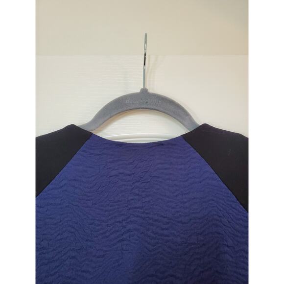 Sandro Paris Long Sleeve Dark Blue Black Crepe Color-Blocked Mini Dress, Size 8 - Picture 9 of 11